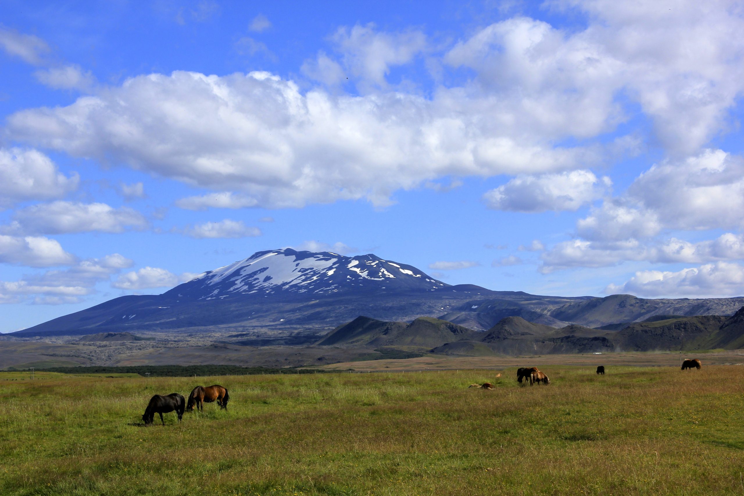 IJslandse paarden voor de Hekla in Zuid-IJsland - Henk Bouwhuis
