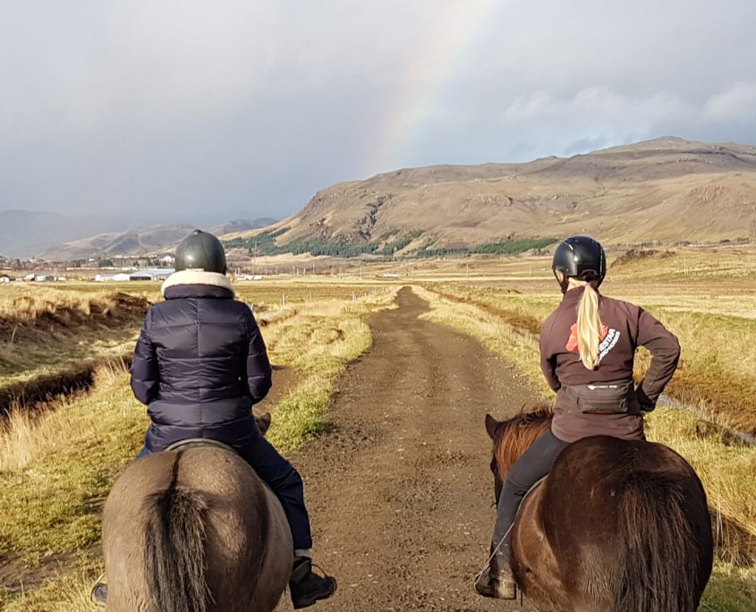 IJsland inspiratie studiereis paardrijden