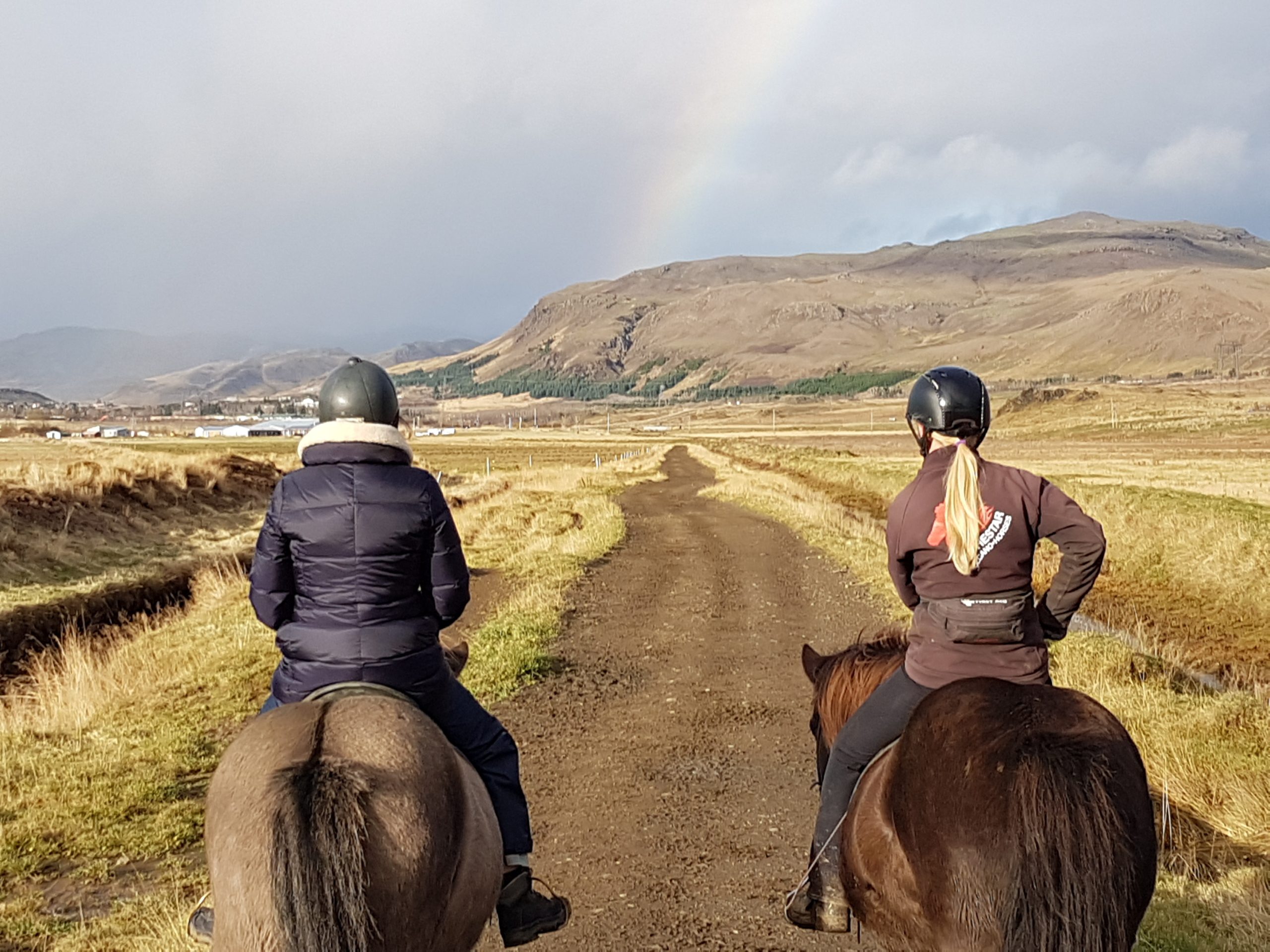 IJsland inspiratie studiereis paardrijden