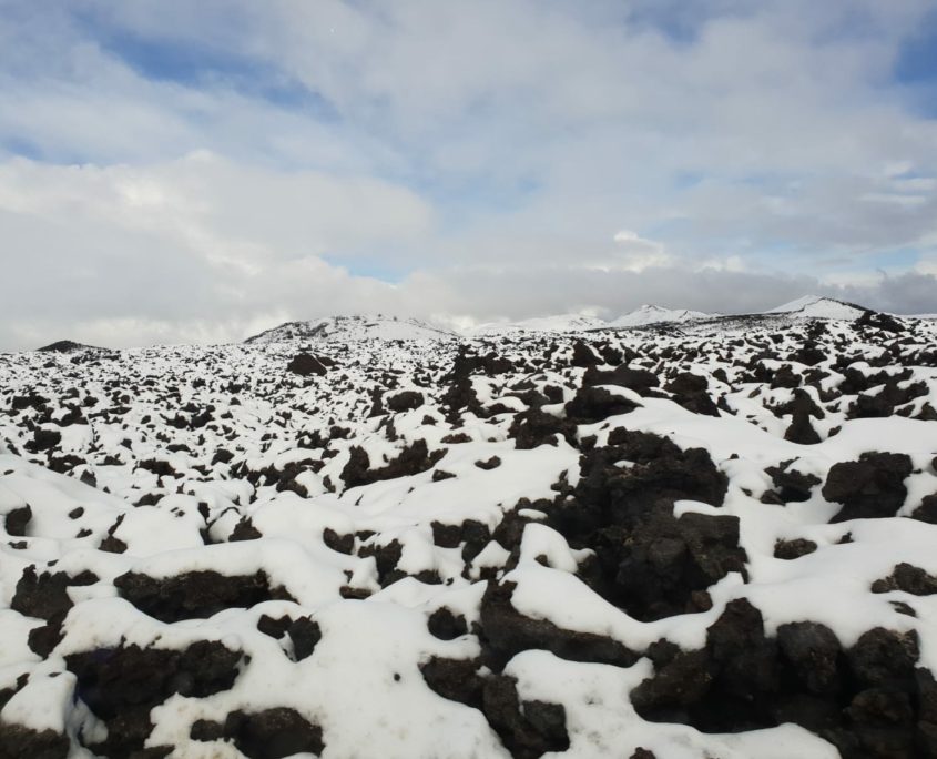IJsland inspiratie studiereis sneeuwlandschap