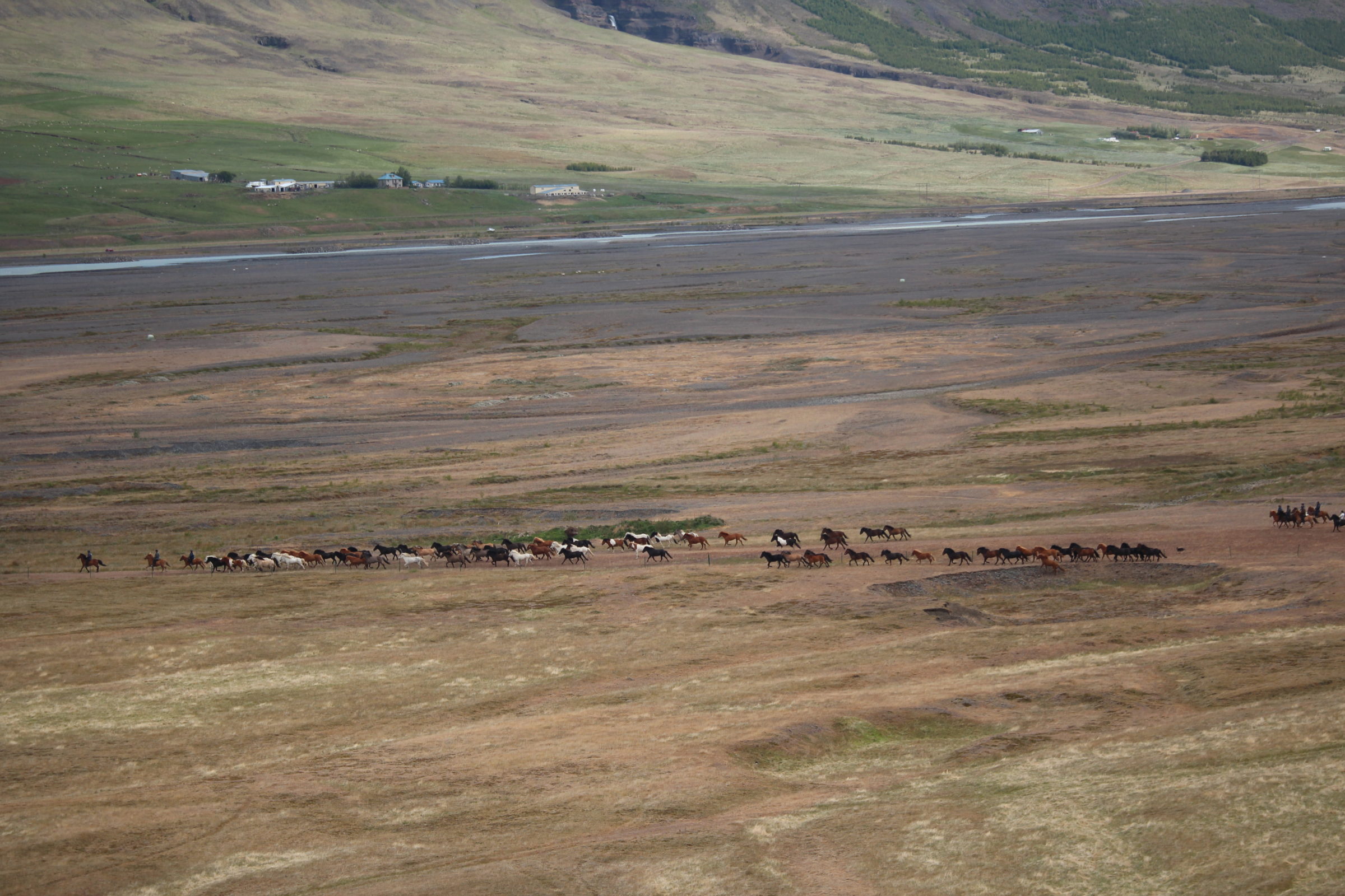IJslanders in het Noord-IJslandse landschap