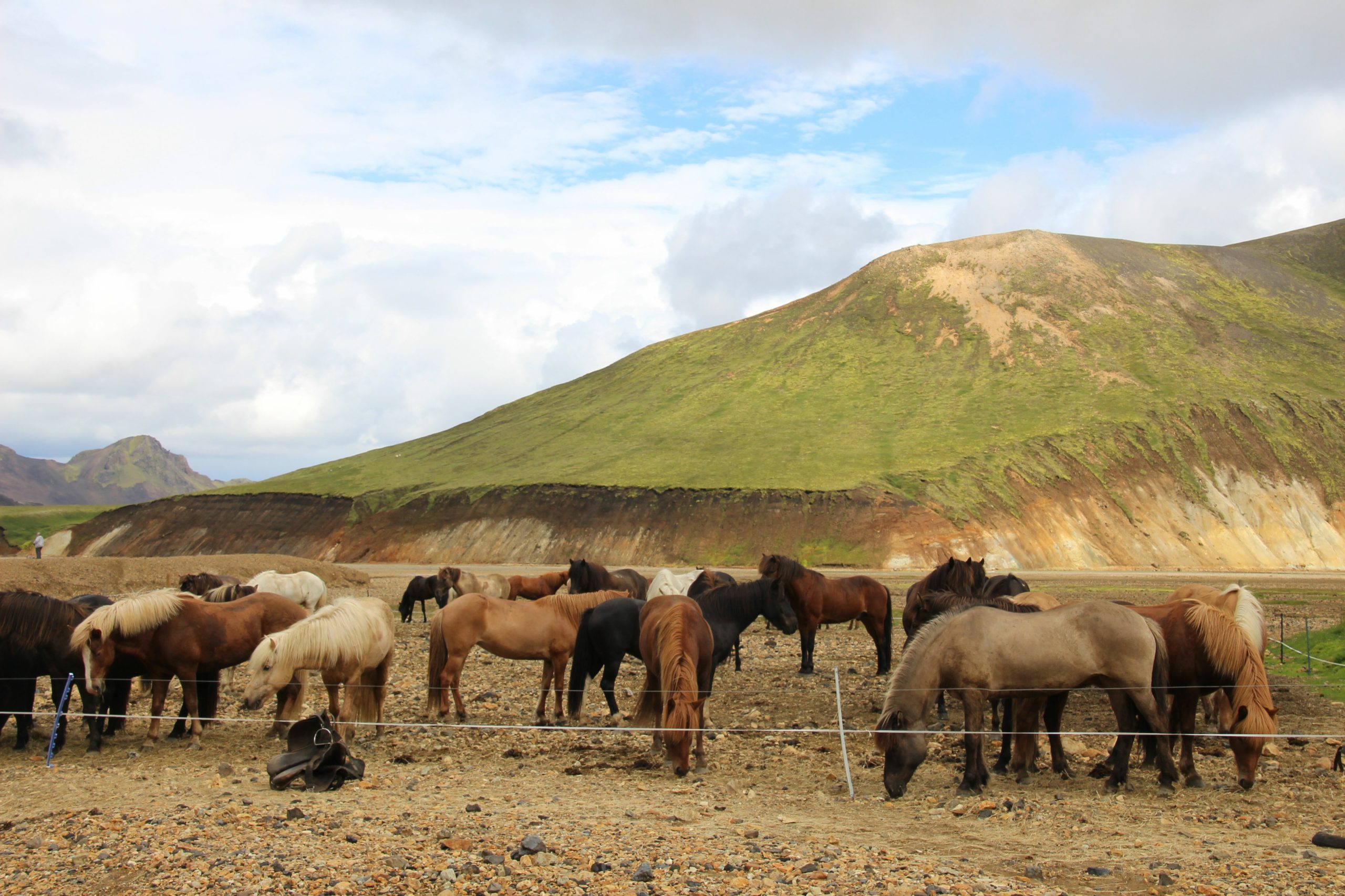 Paardrijden bij 'Landmannalaugar'