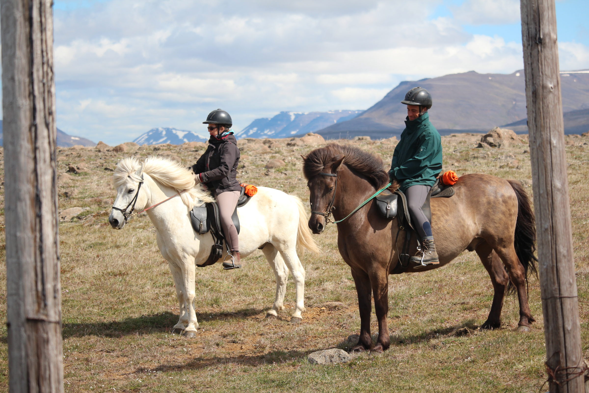 Paardrijden in Noord-IJsland