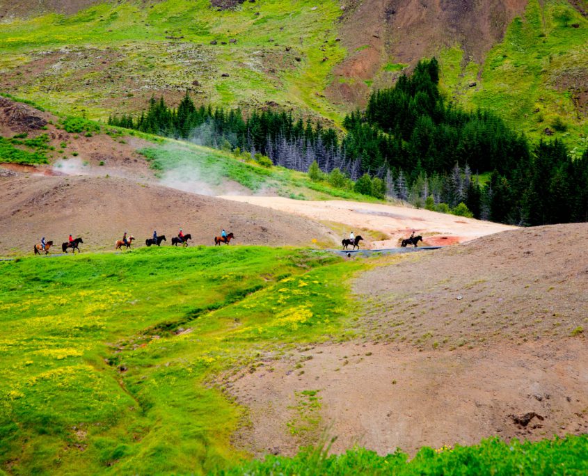 Paarden en Hot Springs - Excursies IJsland