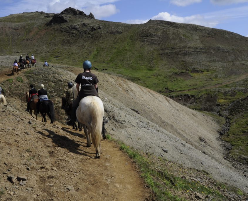 Paardrijden langs een klifpad - Excursies IJsland