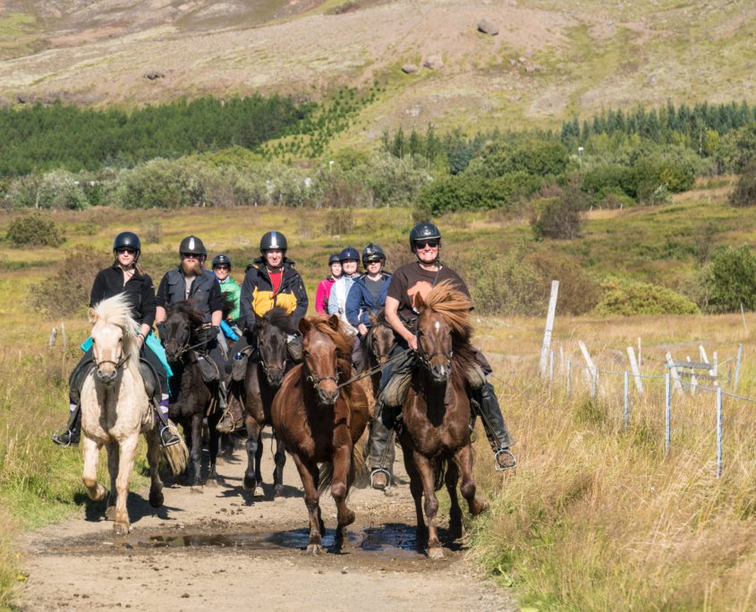 Paardrijtocht - Excursie IJsland